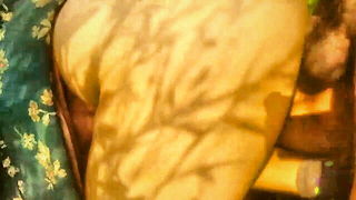 Indian bhabhi doggy style porn video preview