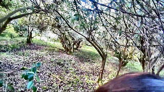 Waldemaria forest POV ass spread free xxx scene
